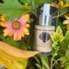 Cactus & Kenyan Coffee bean Oil Under Eye Cream