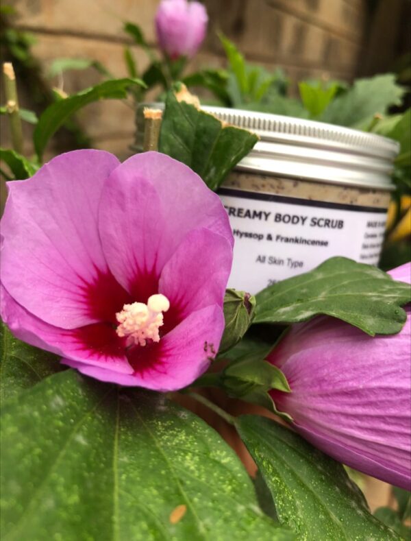 Creamy Body Scrub Hyssop & Frankincense