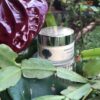 Nourishing Face Cream Marigold & Myrrh